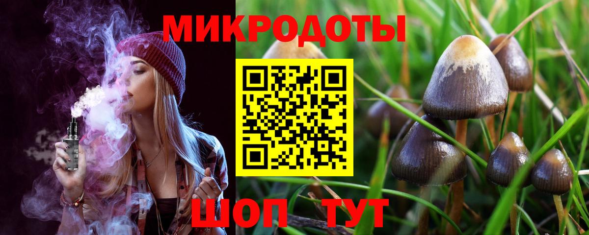 Псилоцибиновые грибы GOLDEN TEACHER  Рыбинск 